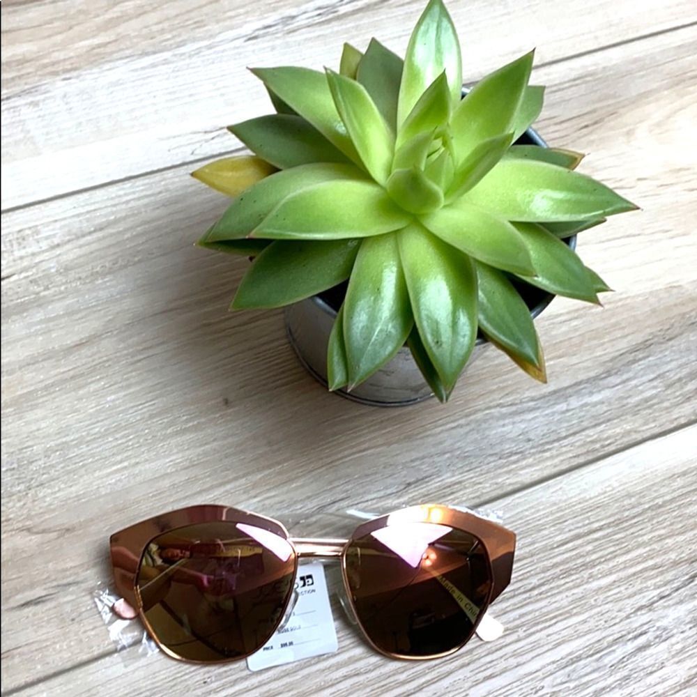 Joes Jeans Cat Eye Sunglasses NWT